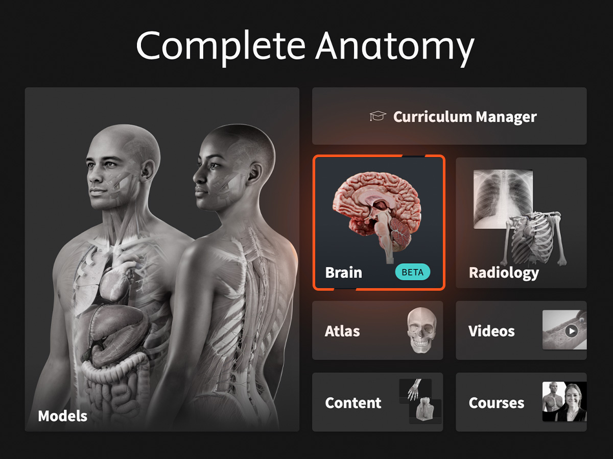 Complete Anatomy app hub highlighting the new Brain Beta button with an orange border 