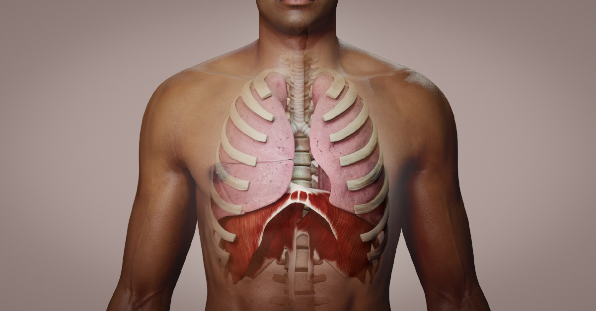 Image showing the respiratory system in a dark skinned male