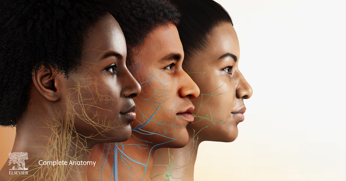 Image of the profile of three dark-skinned models